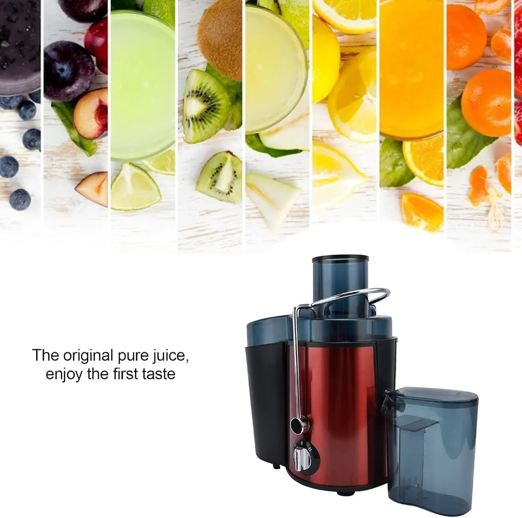 EXTRACTOR4.webp