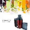 EXTRACTOR4.webp