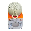 pasted-image (63).webp
