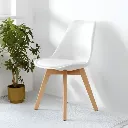 MODERNA.....webp